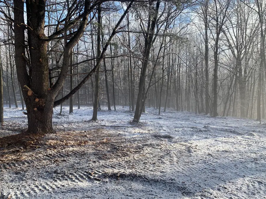 0 Harroway Road, Richmondville, NY 12149 - #3