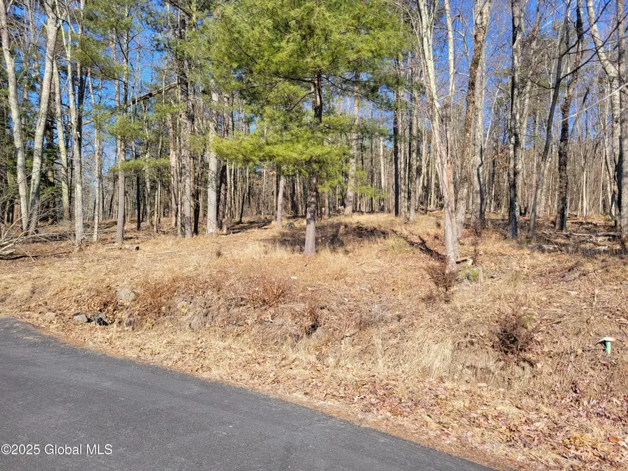 56 Blue Heron Drive Drive #Lot 2, Sand Lake, NY 12018 - #3
