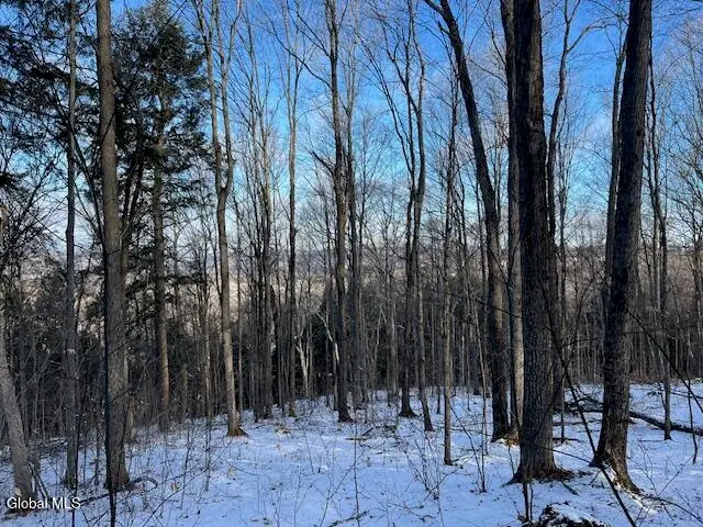 L29 Mountain Crest Road, Warnerville, NY 12187 - #3