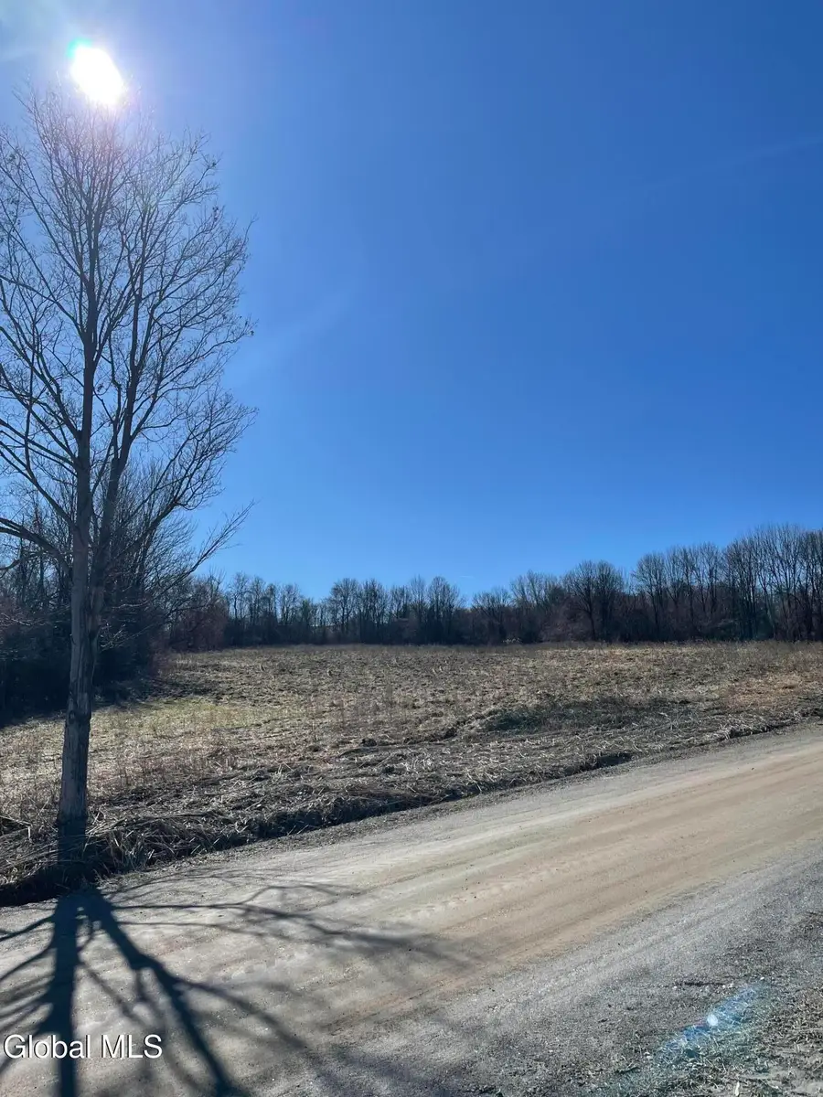 L32.2 Snell Road, Fort Plain, NY 13339 - #2