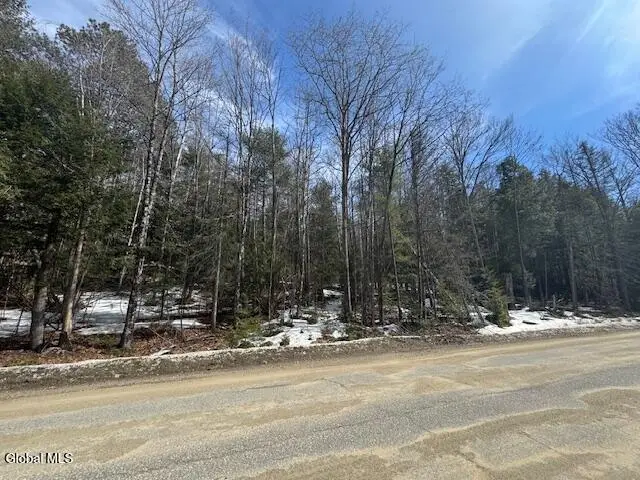 358 River Road, Johnsburg, NY 12862 - #1