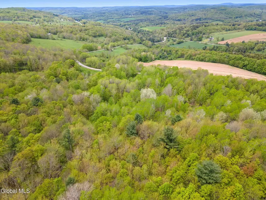 L11 Sternberg Road, Jefferson, NY 12167 - #3