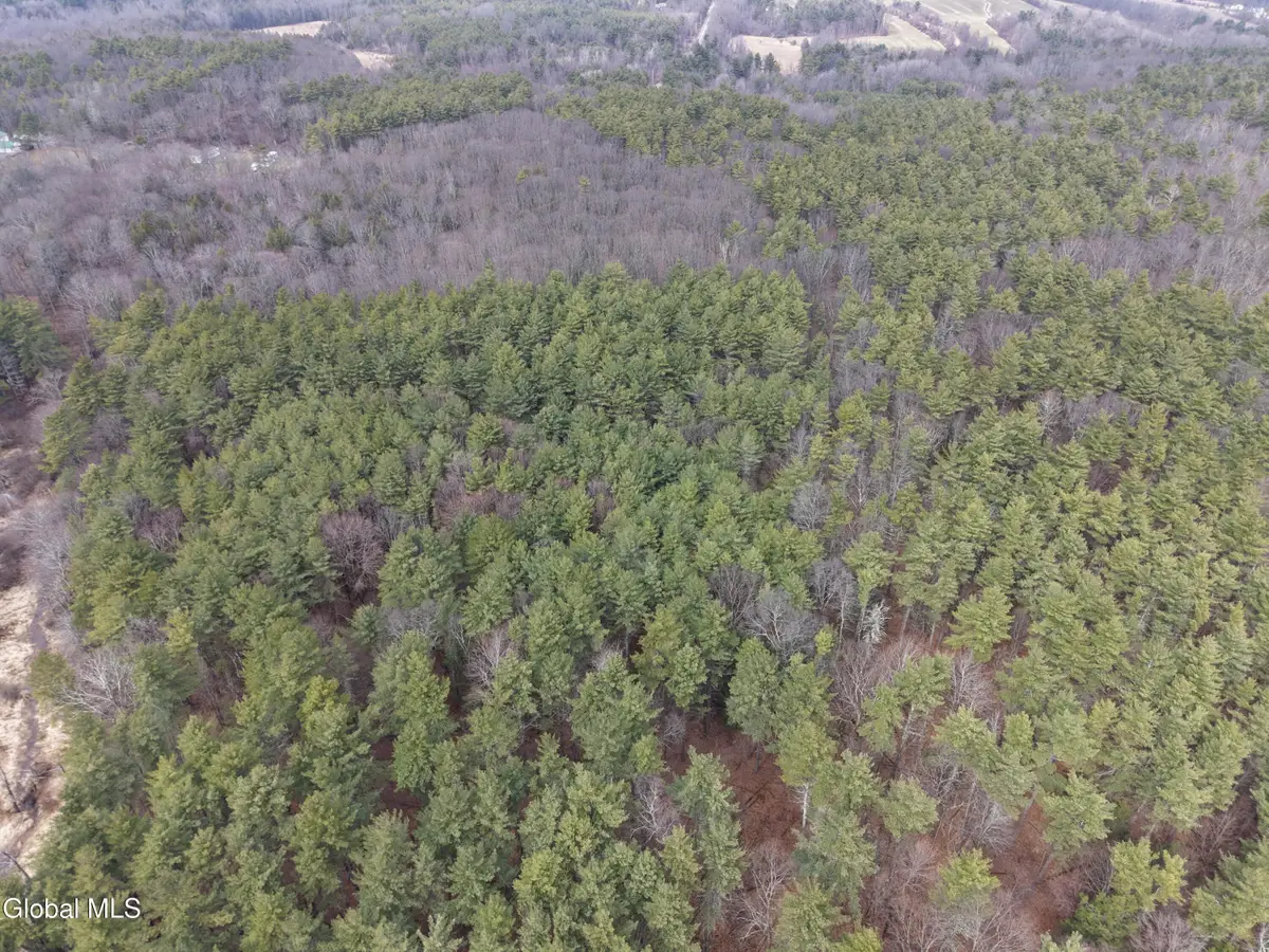 Lot 54 Rr 51, New Baltimore, NY 12087 - #1