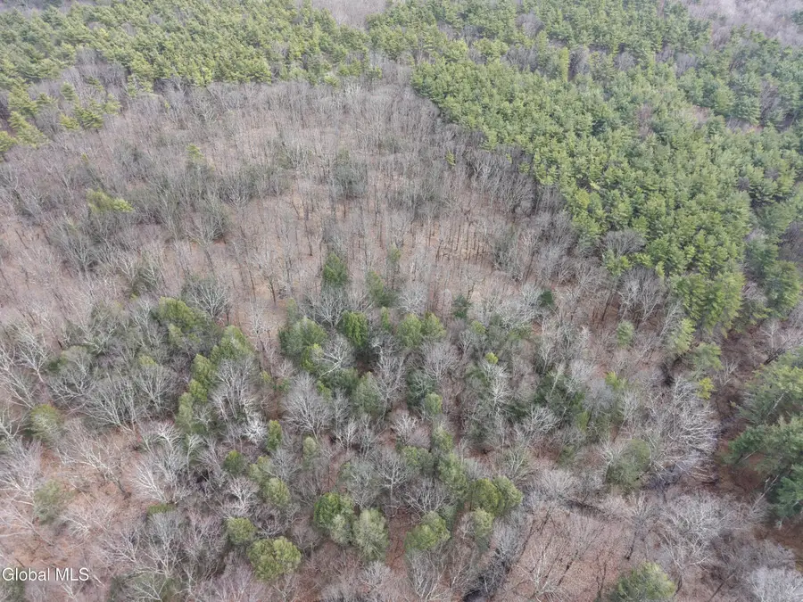 Lot 54 Rr 51, New Baltimore, NY 12087 - #3