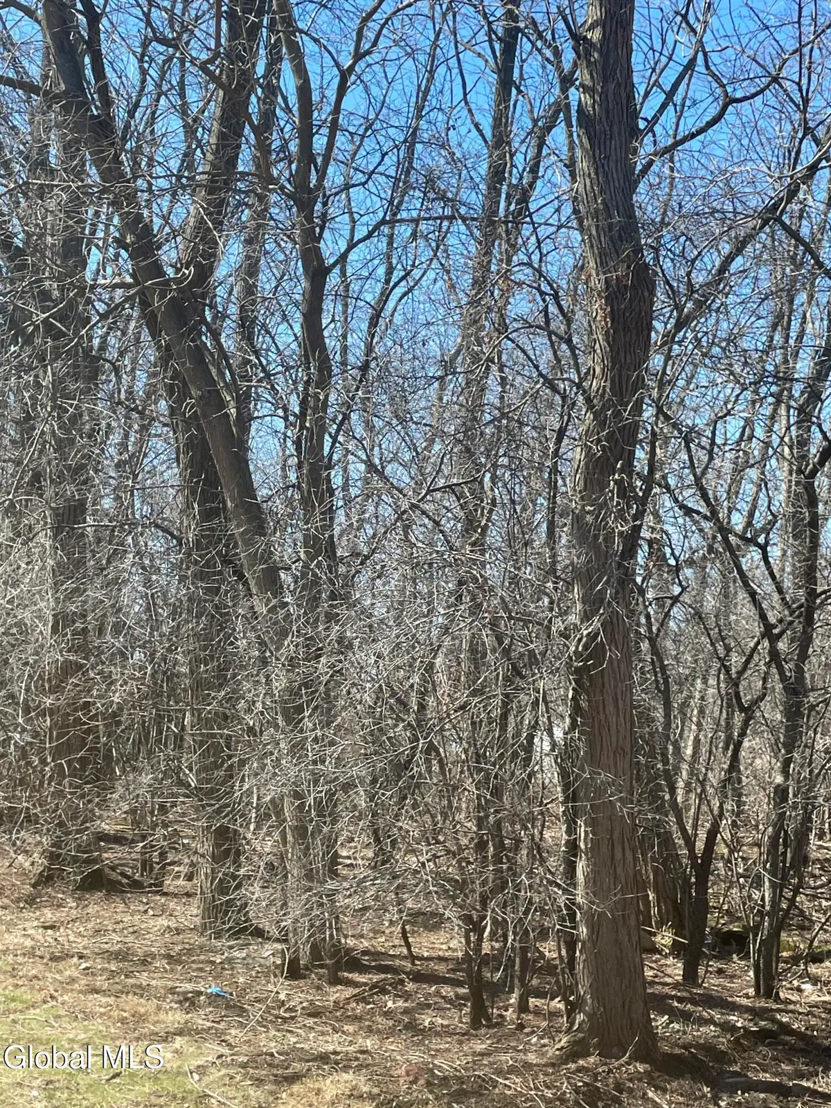 L 26 Stevenson Street, Schenectady, NY 12308 - #1