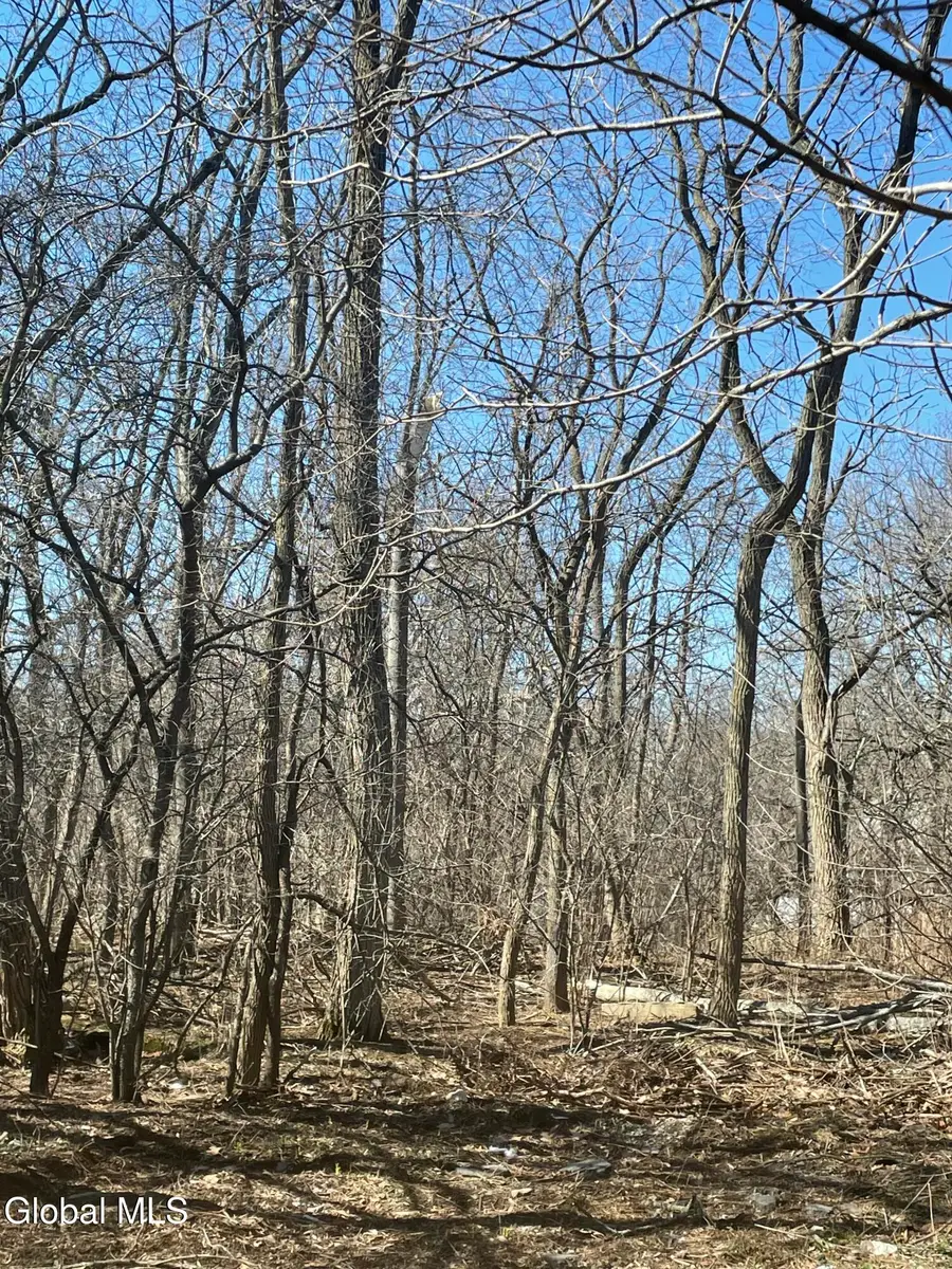 L 27 Stevenson Street, Schenectady, NY 12308 - #2