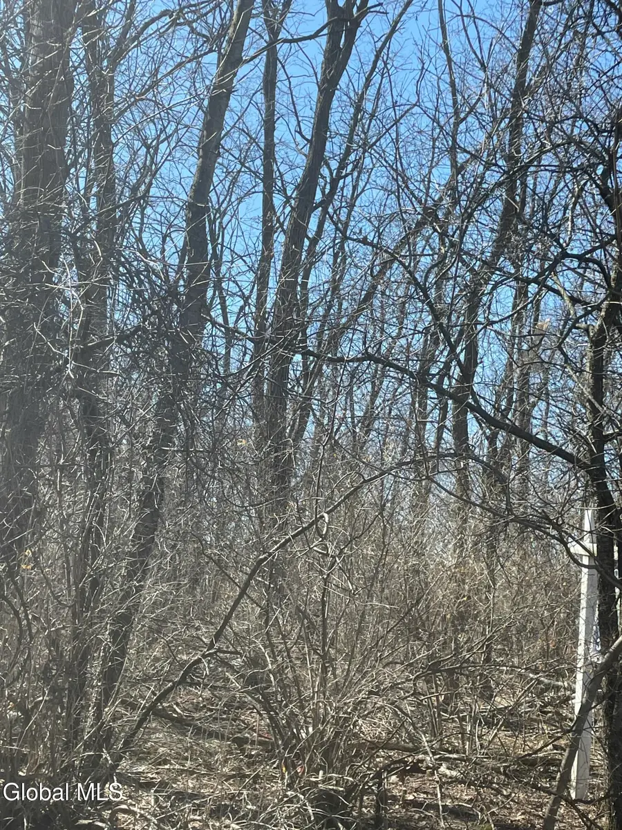 L 27 Stevenson Street, Schenectady, NY 12308 - #3