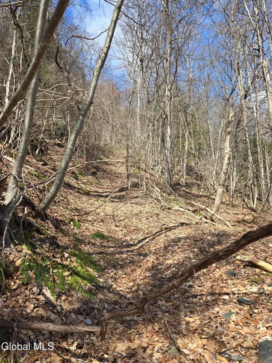 0 Ny 22, Petersburgh, NY 12138 - #3