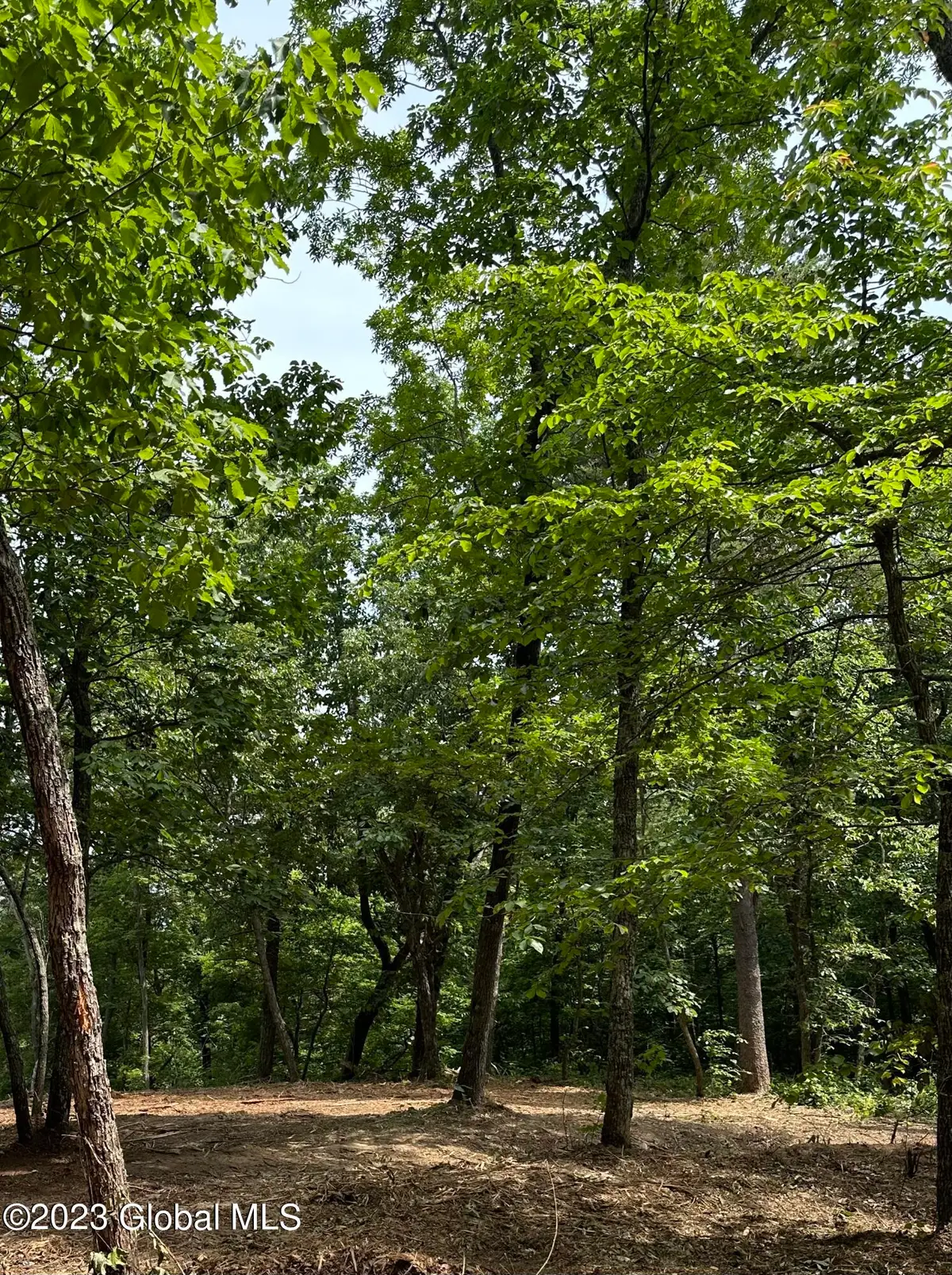 52 Totem Lodge Road, Nassau, NY 12123 - #1