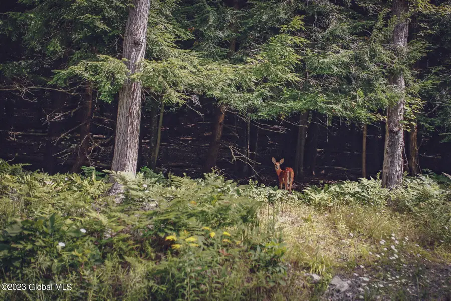 52 Totem Lodge Road, Nassau, NY 12123 - #3