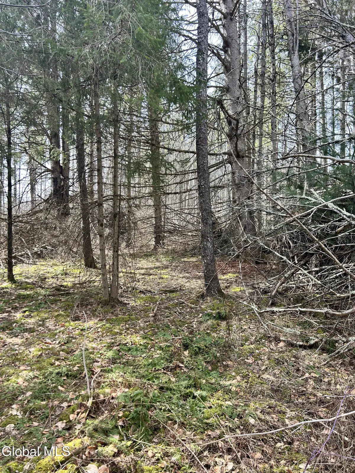 00 Weaver Dam Road, Petersburgh, NY 12138 - #1