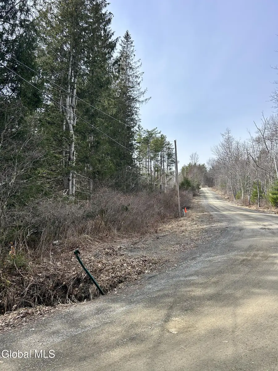 00 Weaver Dam Road, Petersburgh, NY 12138 - #3