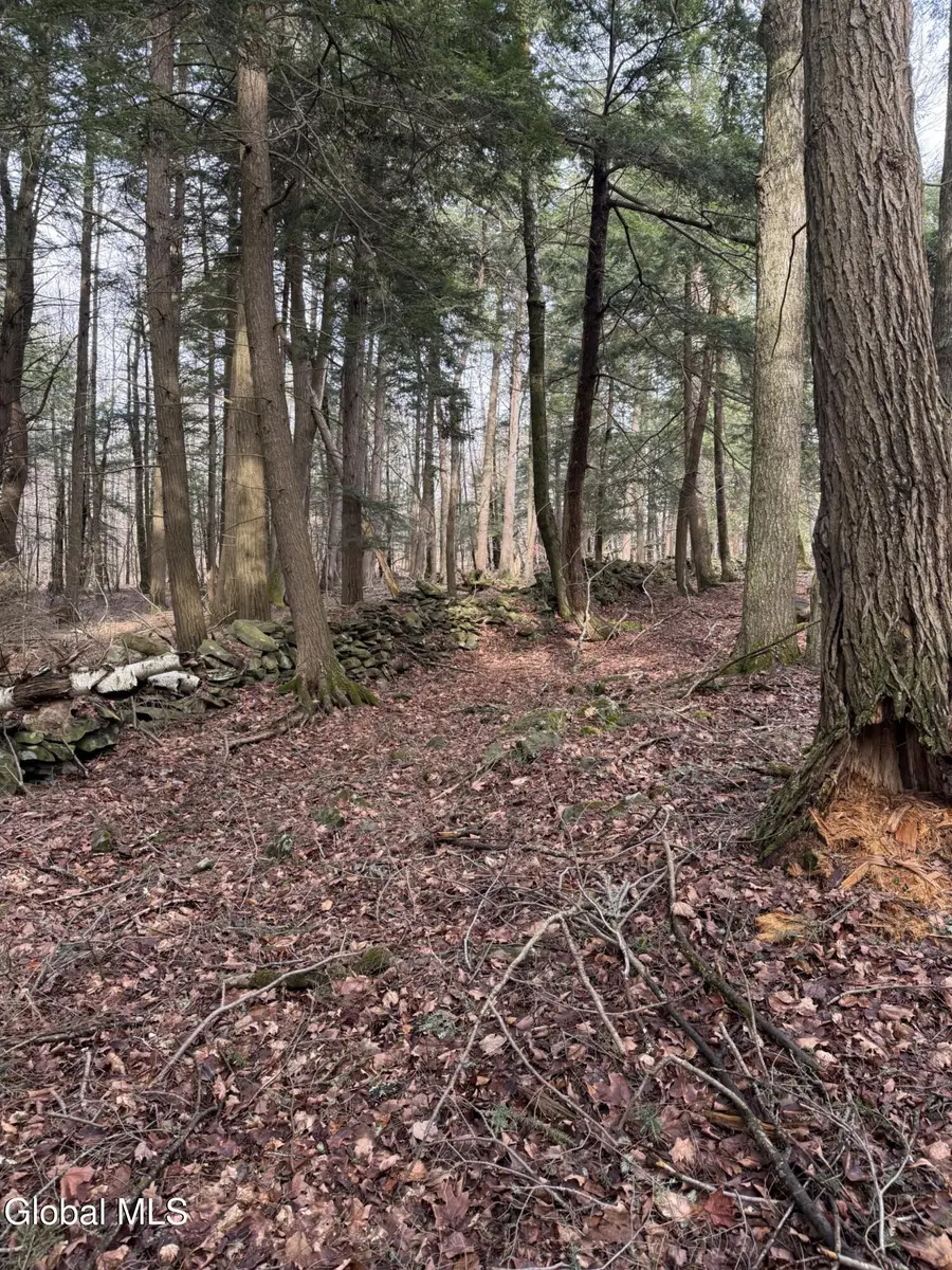 0 Becker Road, Middleburgh, NY 12122 - #3