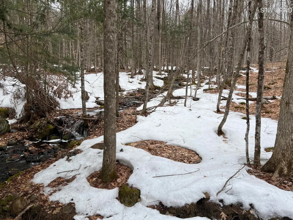 277 Roaring Branch Road, Stony Creek, NY 12878 - #1