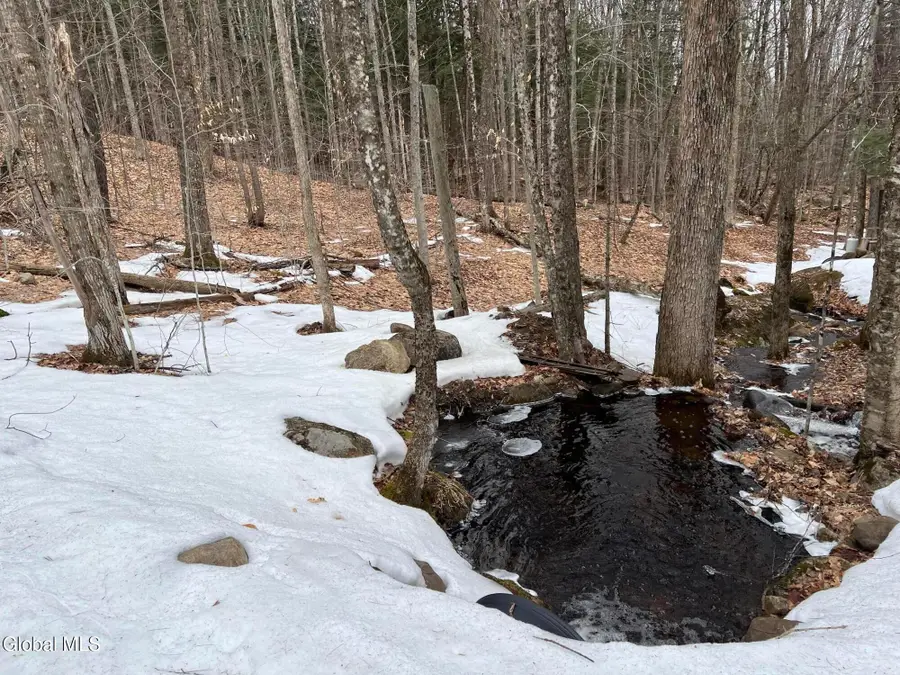 277 Roaring Branch Road, Stony Creek, NY 12878 - #2