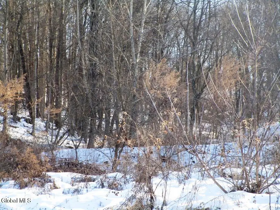 46 Michigan Street, Mohawk, NY 13407 - #2