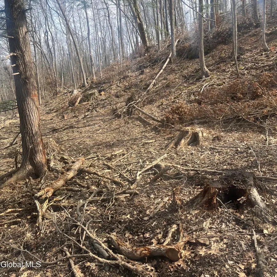 1885 State Route 40, Easton, NY 12834 - #2