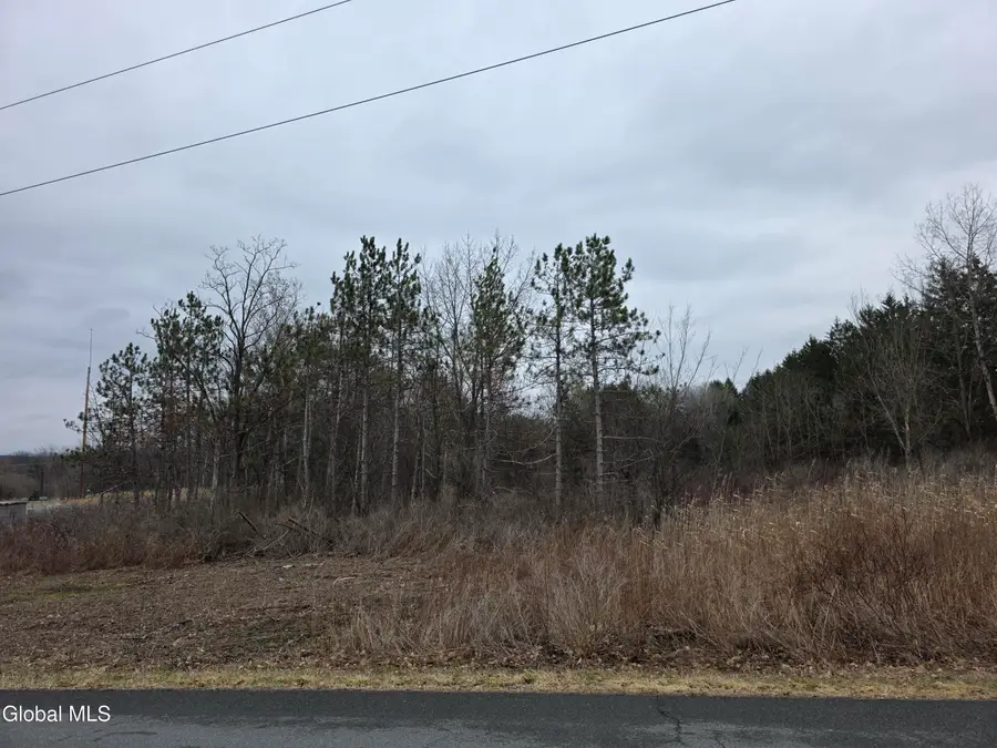 L27-1 Jensis Rd, Schodack, NY 12033 - #2