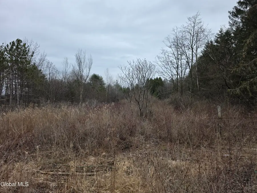 L27-1 Jensis Rd, Schodack, NY 12033 - #3