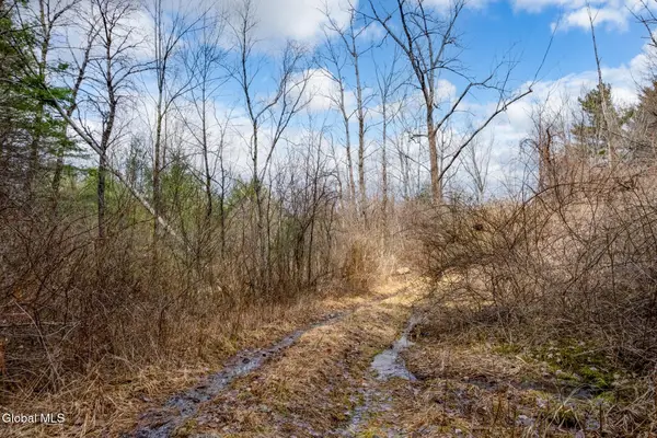 L3 Mcgill Road, Nassau, NY 12062