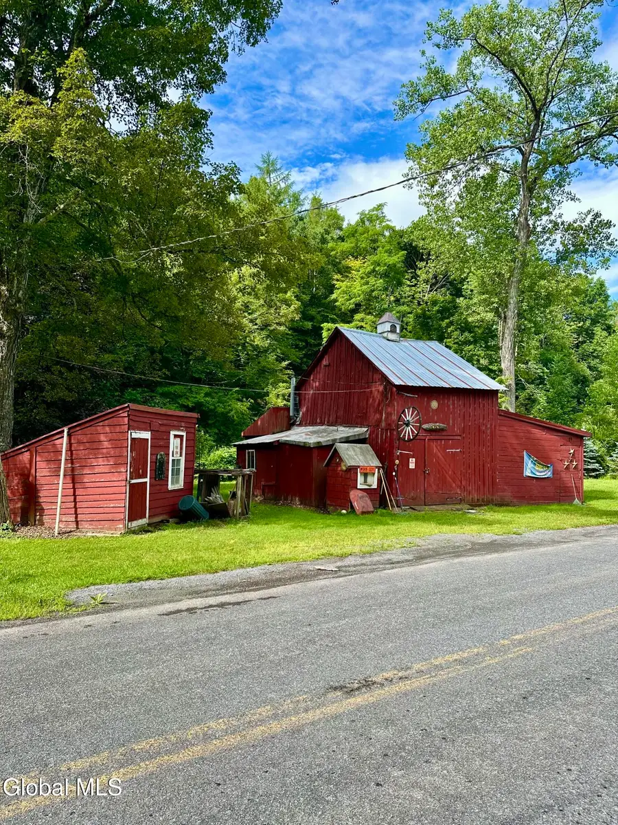 1166 Hauverville Road, Middleburgh, NY 12122 - #2