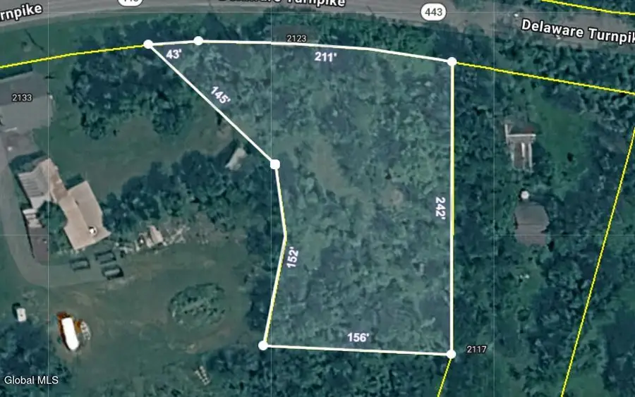 2123 Delaware Turnpike, Clarksville, NY 12041 - #2