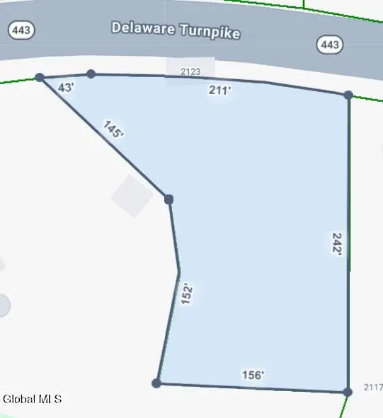 2123 Delaware Turnpike, Clarksville, NY 12041 - #3