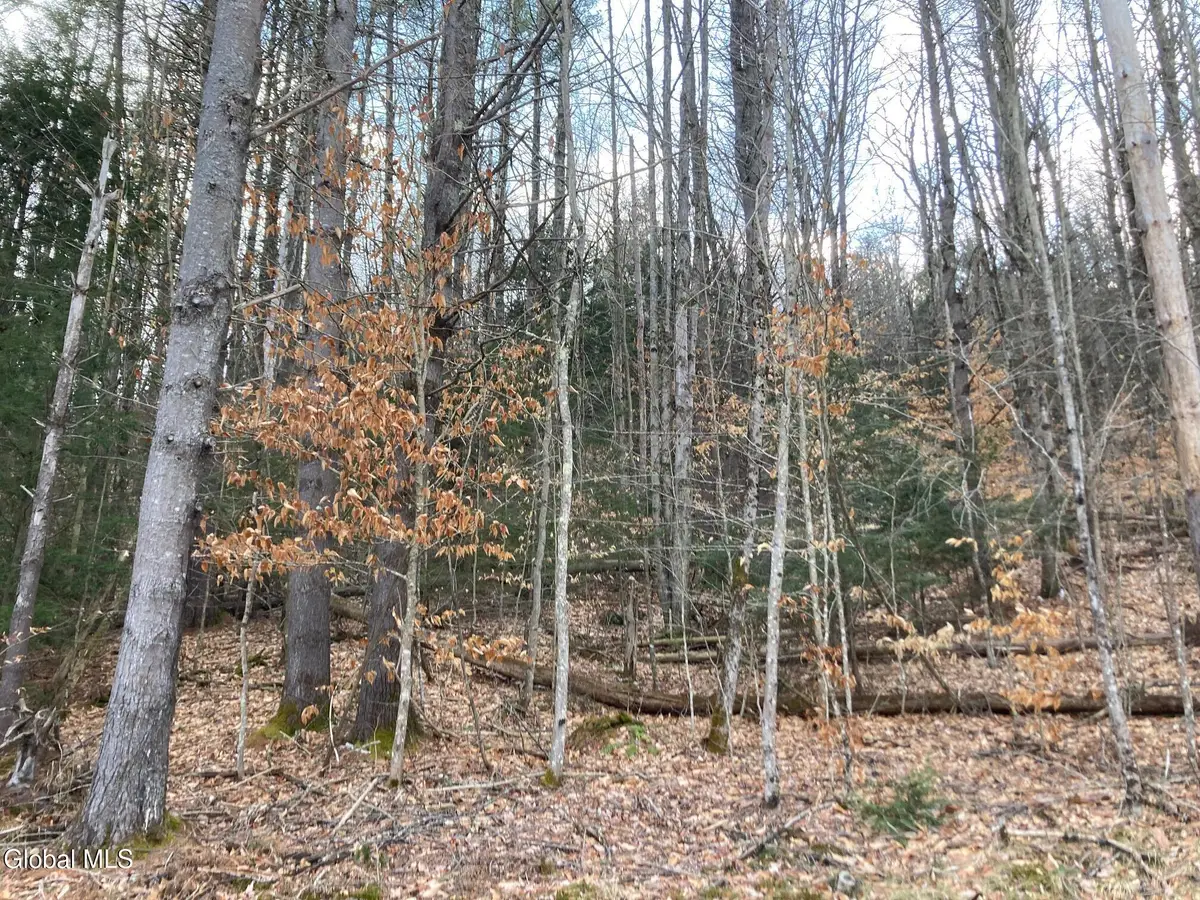 652 New Vermont Road, Bolton, NY 12814 - #1