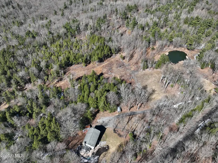 54 High Point Road, Berne, NY 12023 - #2