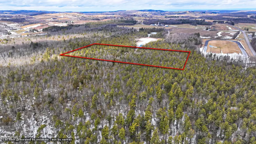 L2.5 Swamp Road, Morrisville, NY 13408 - #3