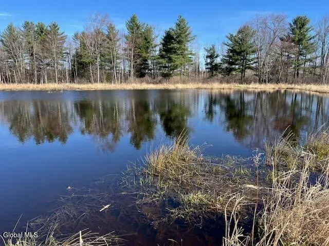 L11.1 Corbin Hill Road, Carlisle, NY 12160 - #2