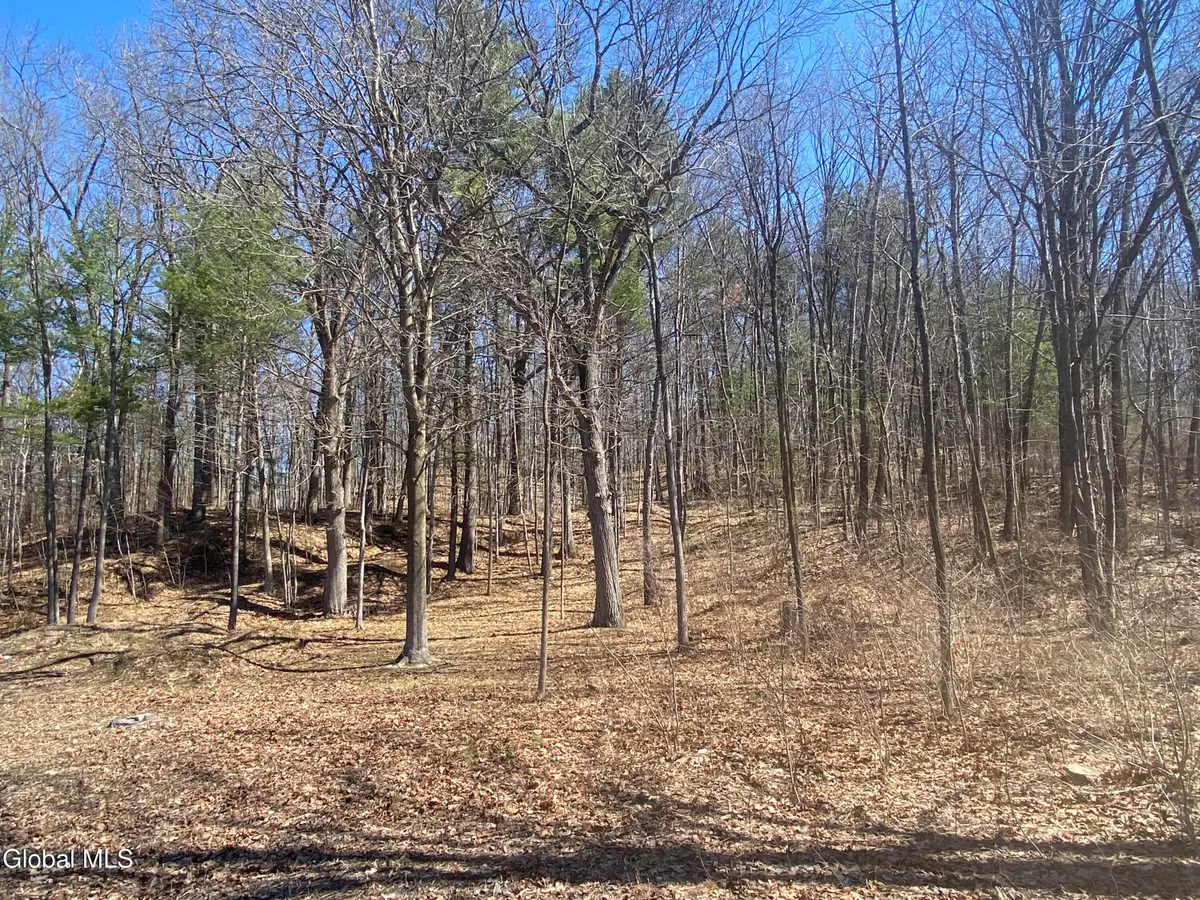 L15 S Kingsboro Avenue, Gloversville, NY 12078 - #1