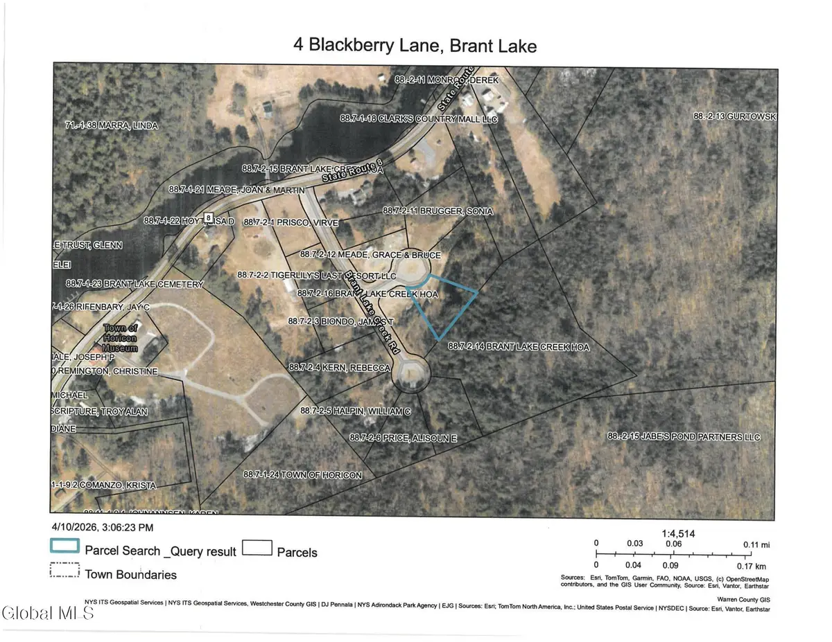 4 Blackberry Lane, Horicon, NY 12815 - #1