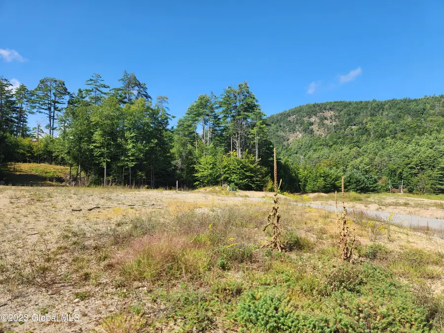 4 Blackberry Lane, Horicon, NY 12815 - #2