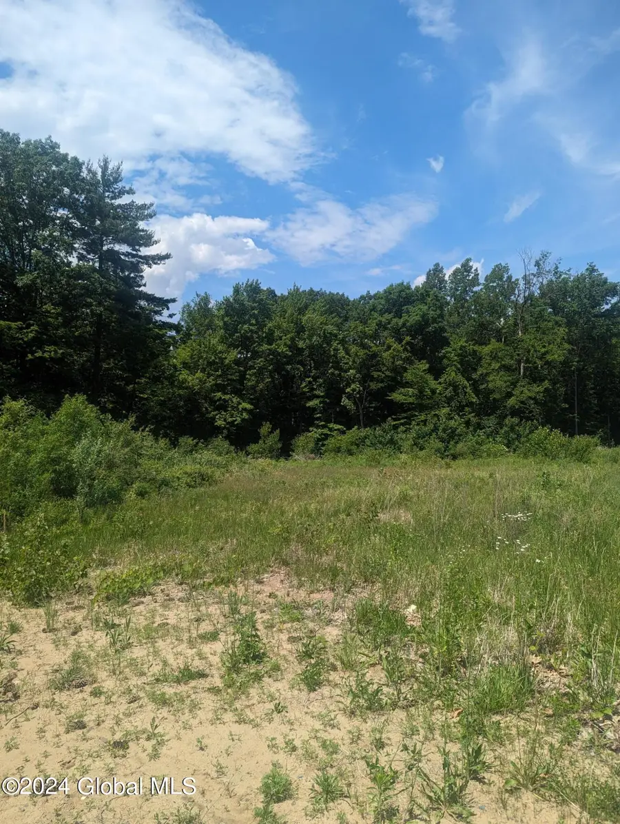 10 Dutch Lane, Halfmoon, NY 12118 - #3