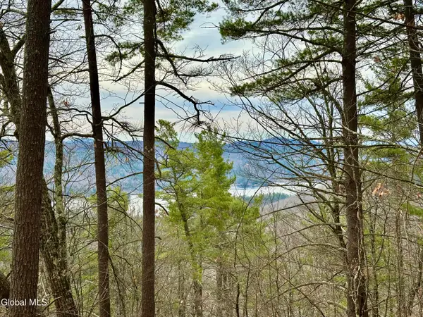 1 S Ike Hayes Road, Horicon, NY 12815