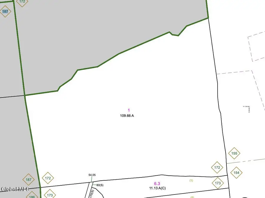 1 S Ike Hayes Road, Horicon, NY 12815 - #2