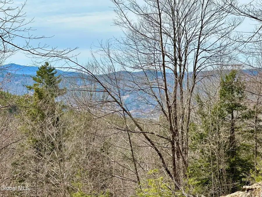 1 S Ike Hayes Road, Horicon, NY 12815 - #3