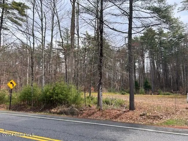 76 S Shore Road, Providence, NY 12134 - #2