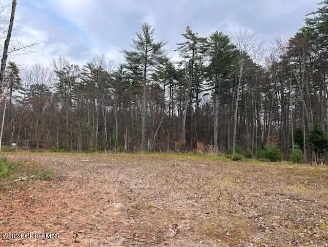 76 S Shore Road, Providence, NY 12134 - #3