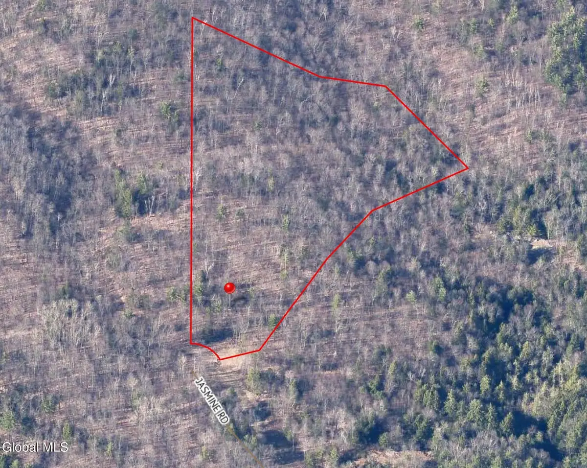 14 Jasmine Road, Stephentown, NY 12168 - #1