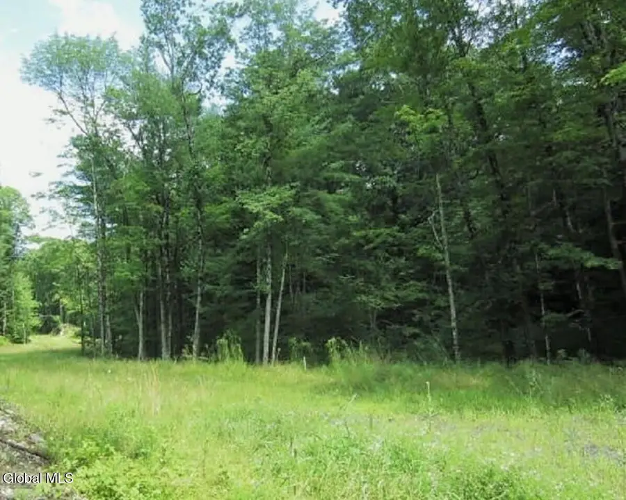 14 Jasmine Road, Stephentown, NY 12168 - #3