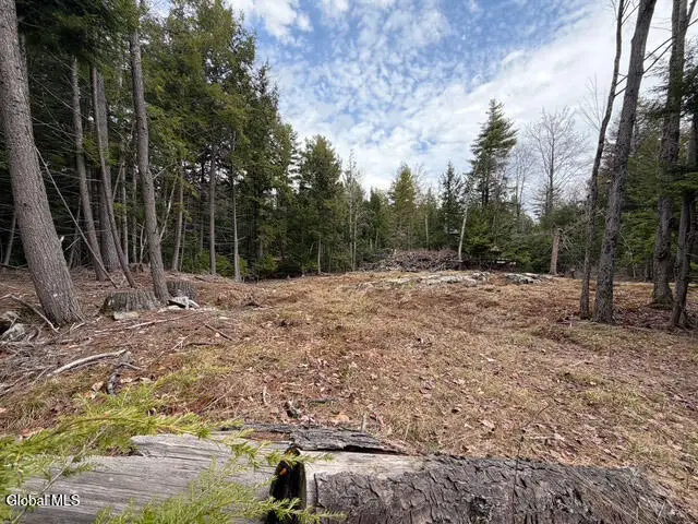 L3 Emily Lane #Lot 3, Chester, NY 12817 - #3