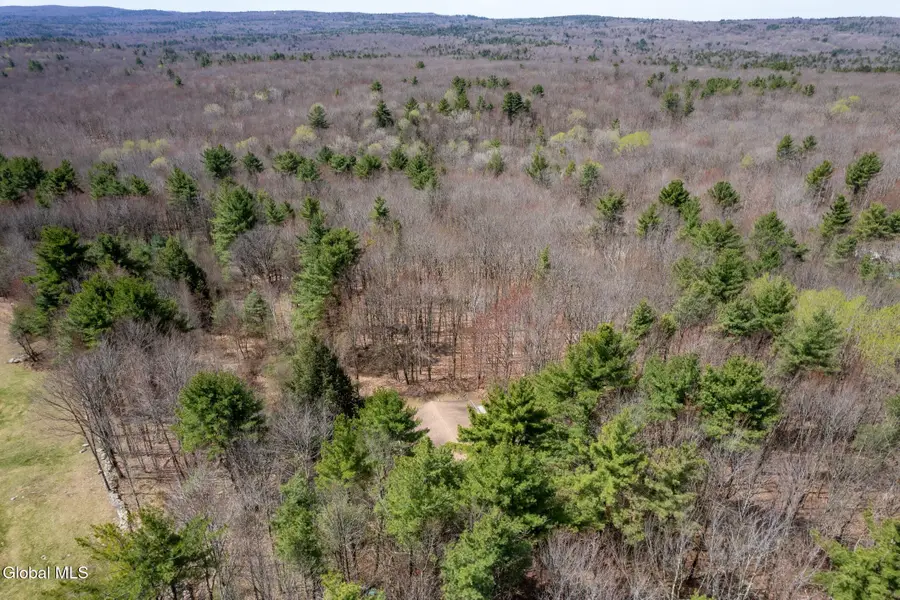 421 Potter Hill Road, Petersburgh, NY 12138 - #2