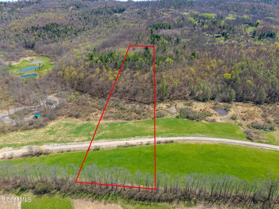 L40 Brown Road, Richmondville, NY 12187 - #3