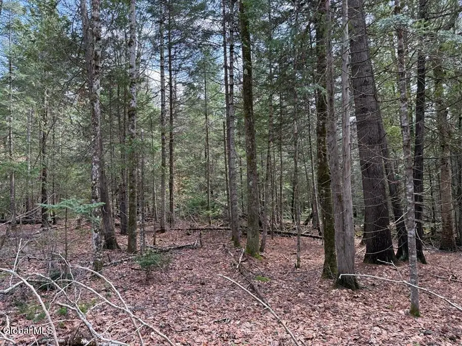 L34.2 Youngs Road #2, Olmstedville, NY 12870 - #1