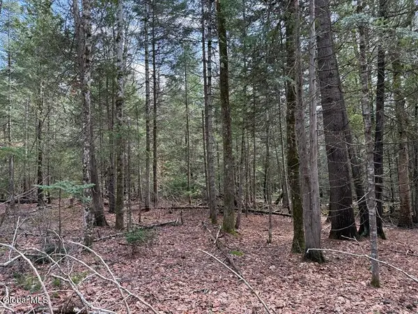 L34.2 Youngs Road #2, Schroon, NY 12870