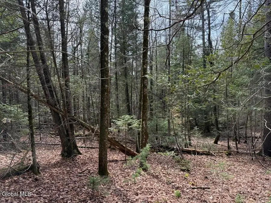 L34.2 Youngs Road #2, Olmstedville, NY 12870 - #2