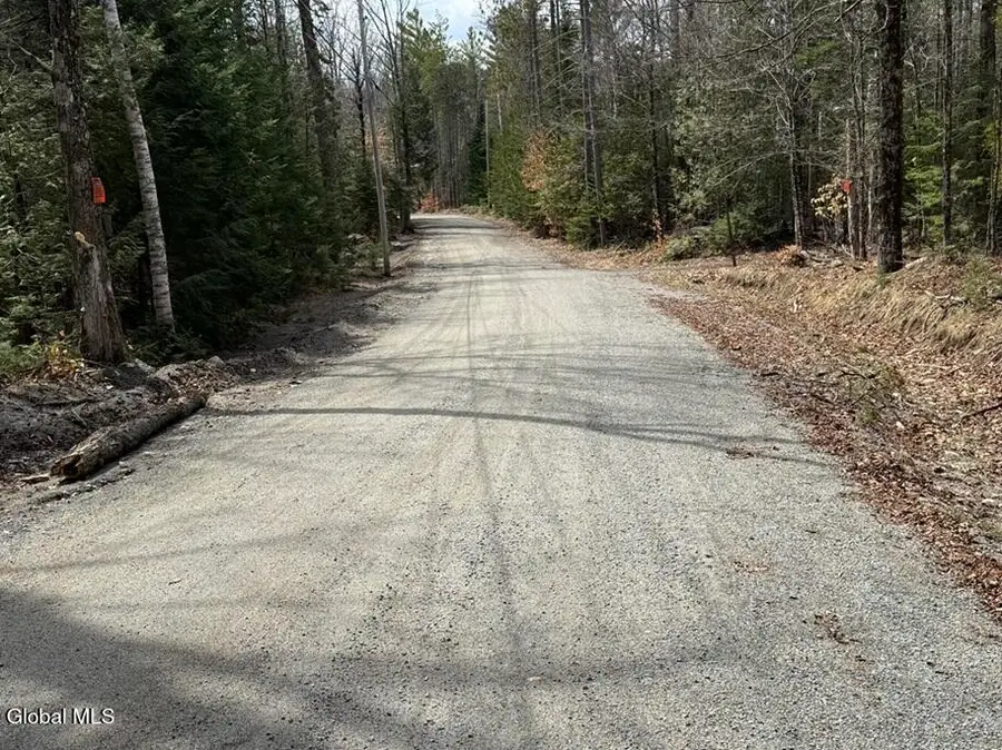 L34.2 Youngs Road #2, Olmstedville, NY 12870 - #3