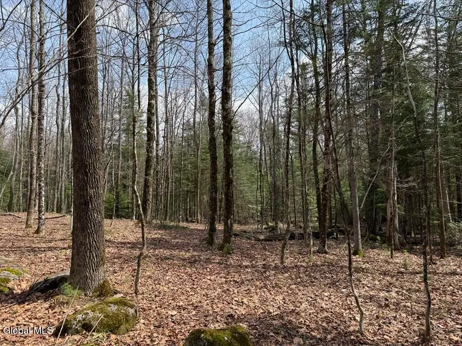 L34.3 Youngs Road #3, Olmstedville, NY 12870 - #1